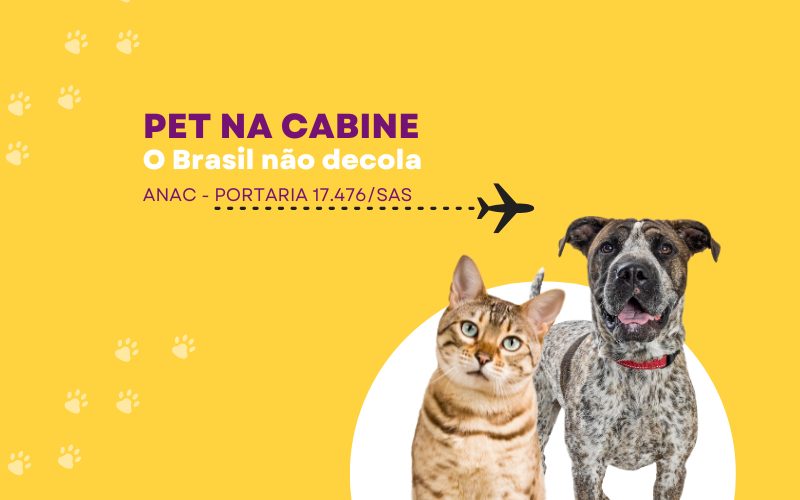 Pet na Cabine o Brasil não decola