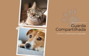 Guarda Compartilhada de Pets_Direitos e Cuidados Após a Separação