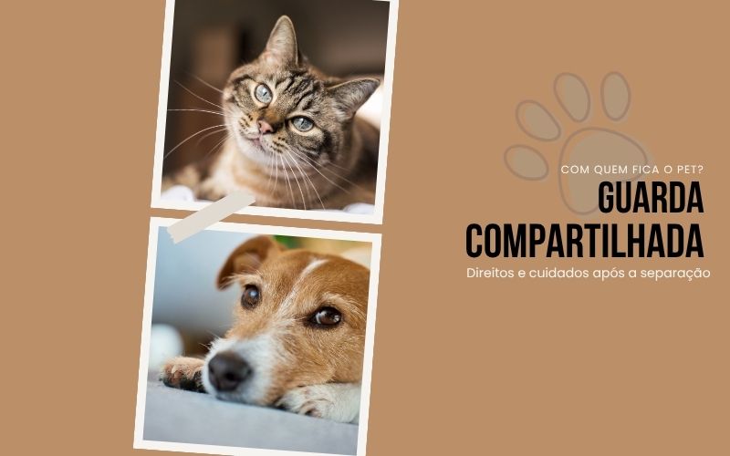 Guarda Compartilhada de Pets: Direitos e Cuidados Após a Separação